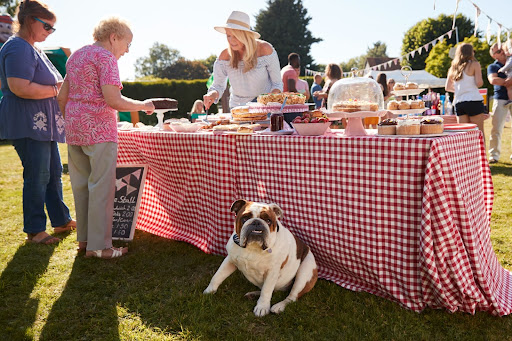 5 Fun Summertime Fundraising Ideas for Nonprofits